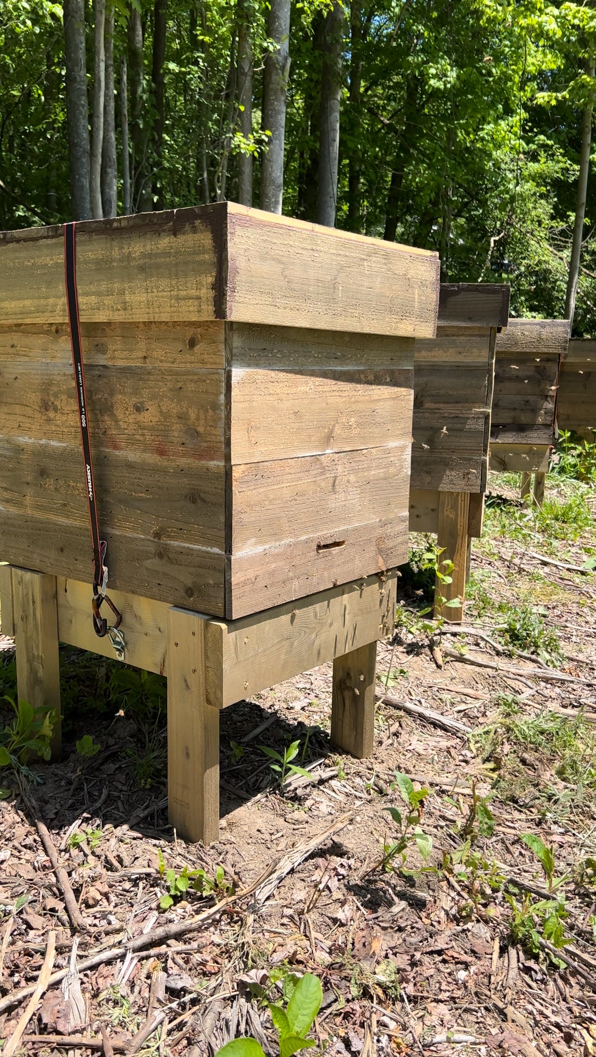 Supers-to-the-Side (STS) Horizontal Hive End Bars - 24 Pack