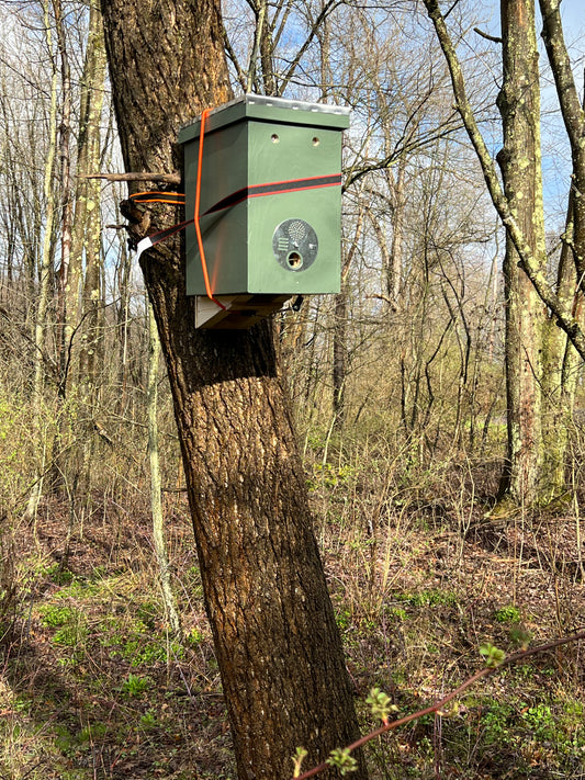 Swarm Season and Planting Season!