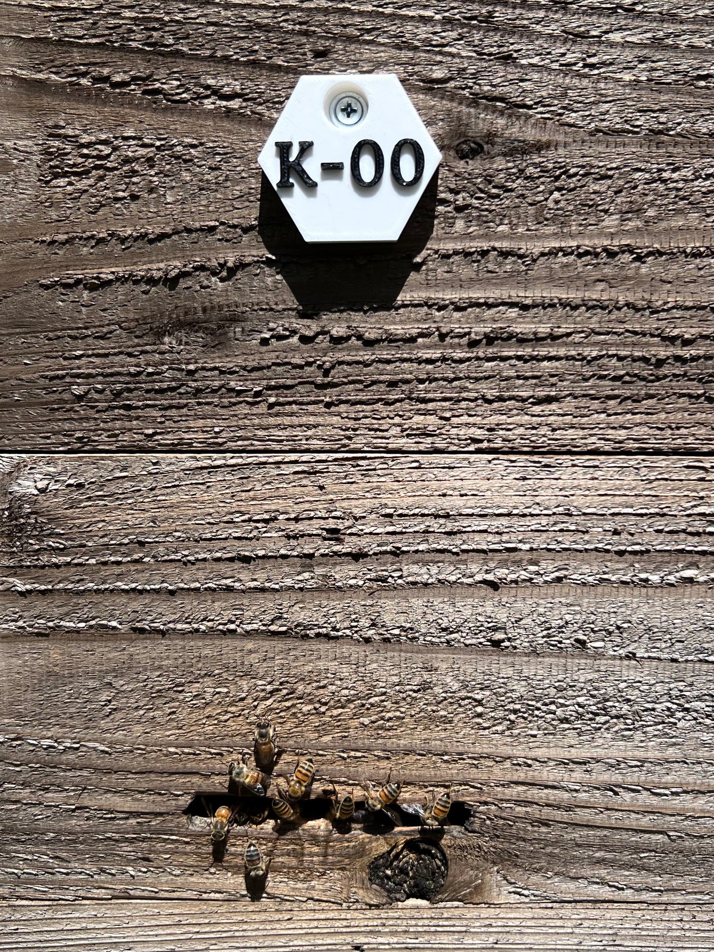 Beehive ID Tags - 3D Printed