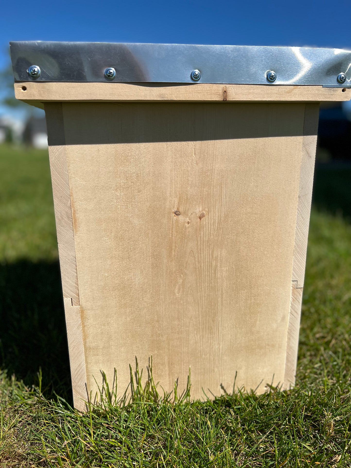 Layens Starter Hive - Swarm Trap - 7 Frames (Discounted)