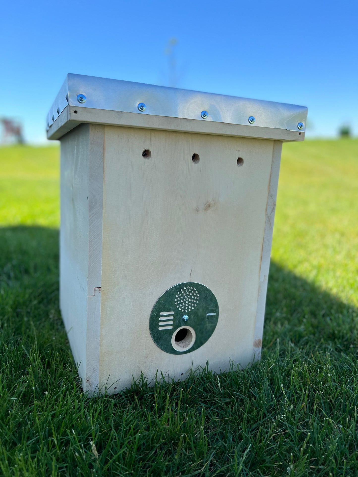 Layens Starter Hive - Swarm Trap - 7 Frames (Discounted)